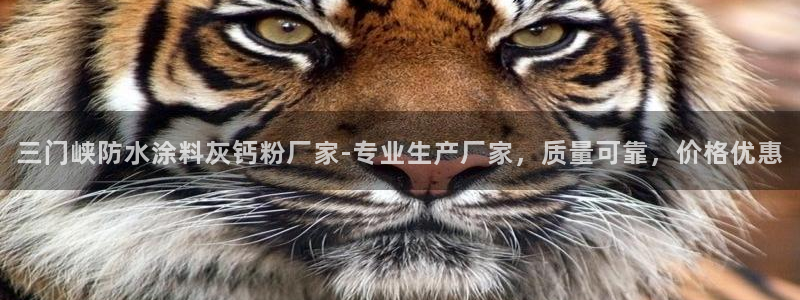 爱游戏电竞官网登录