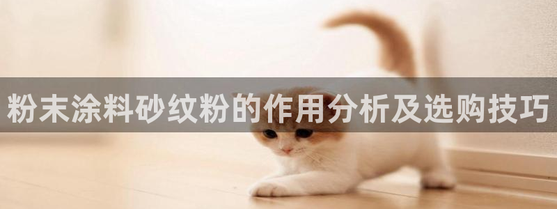 爱游戏app官网有实力06