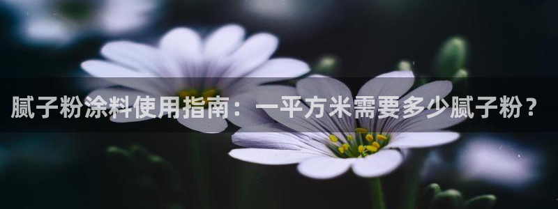 爱游戏官网注册