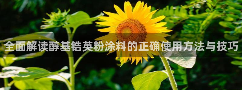 ayx爱游戏app下载官网