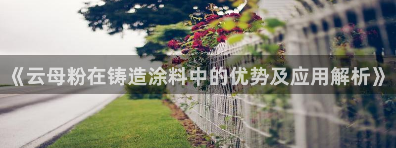 爱游戏ayx官网