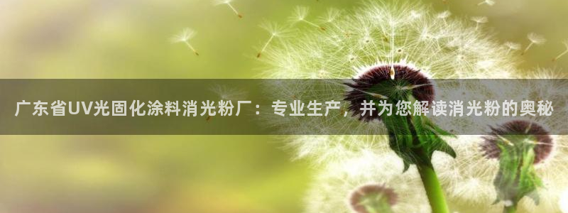 ayx爱游戏官方app平台