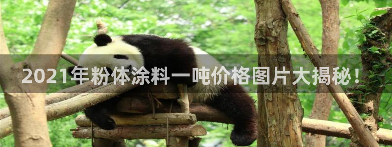 爱游戏官网入口