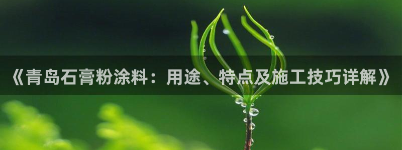 爱游戏爱体育官网