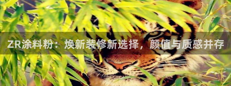 ayx爱游戏官方app平台