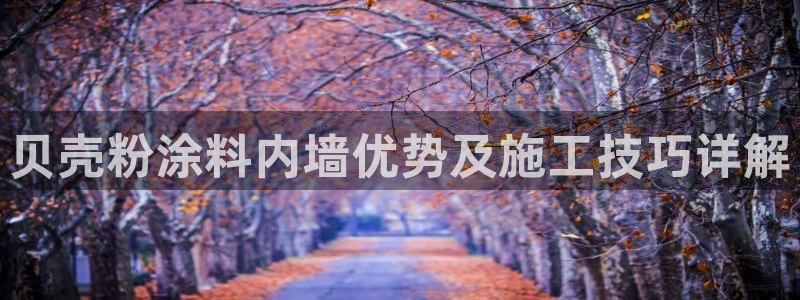 爱游戏app官方最新版本