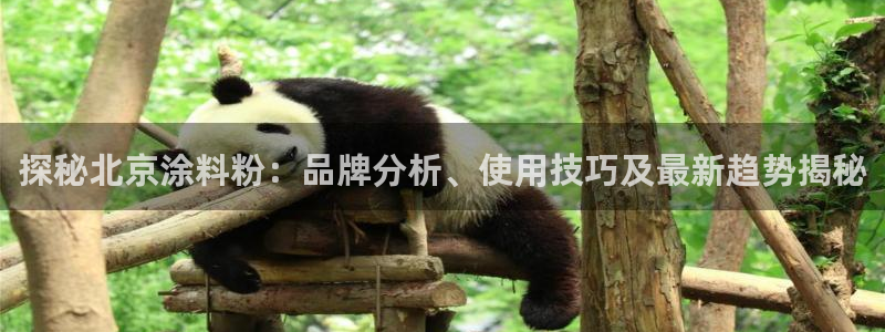 爱游戏客户端官网入口