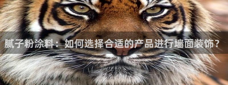 爱游戏电竞平台在线玩