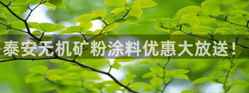 爱游戏官网平台