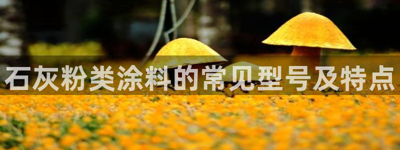 爱游戏app平台