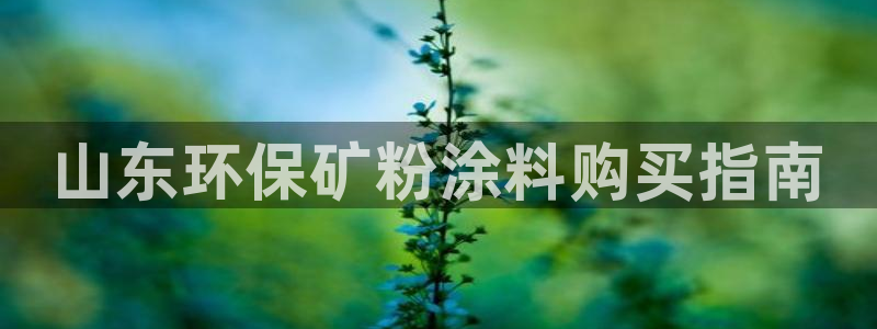 爱游戏平台注册登录