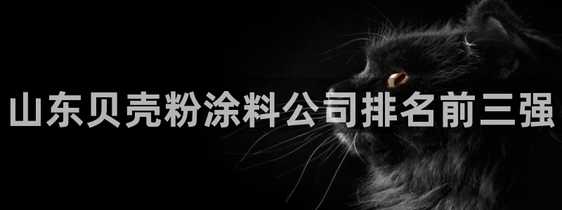 爱游戏百家网站官网