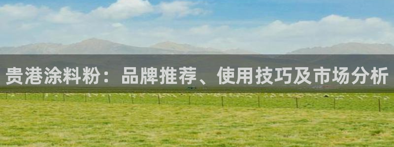 爱游戏官网网页