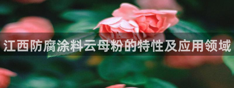 91爱游戏官网