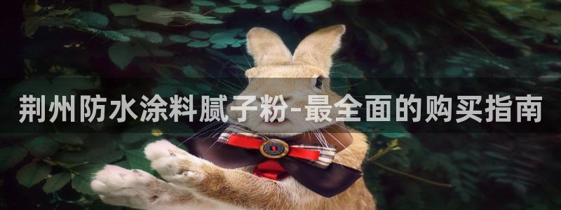 爱游戏直播平台