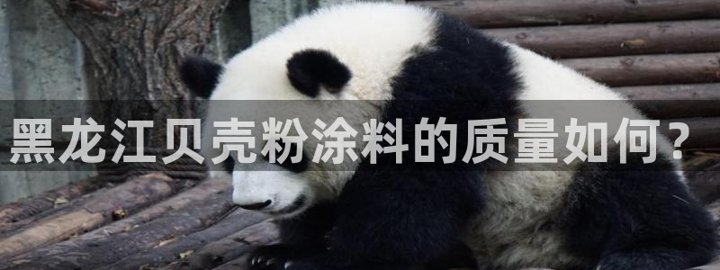 爱游戏官网手机