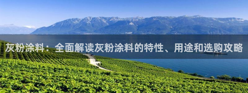 爱游戏官网客户端手机版