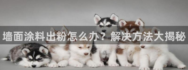 爱游戏娱乐官网