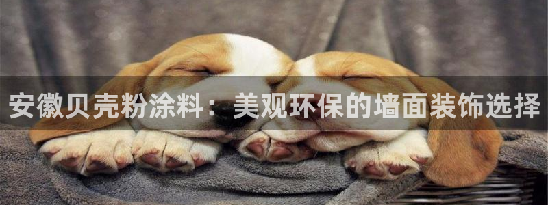 爱游戏平台入口