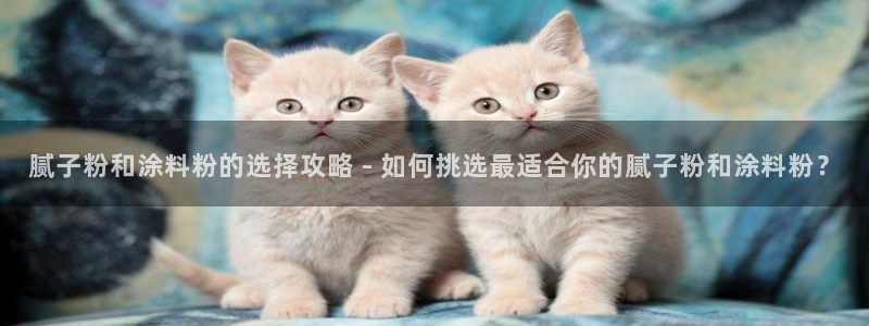 爱游戏301官网