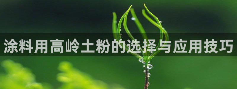 爱游戏官网入口