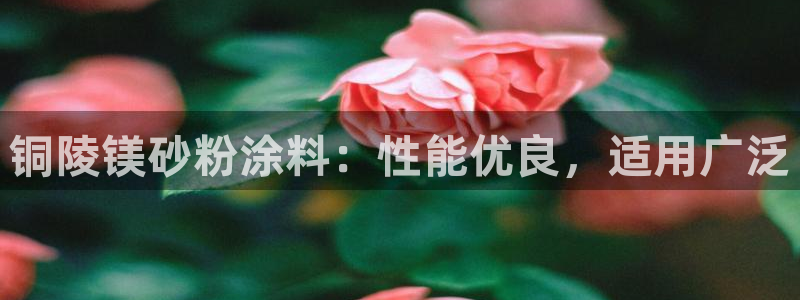 爱游戏直播平台