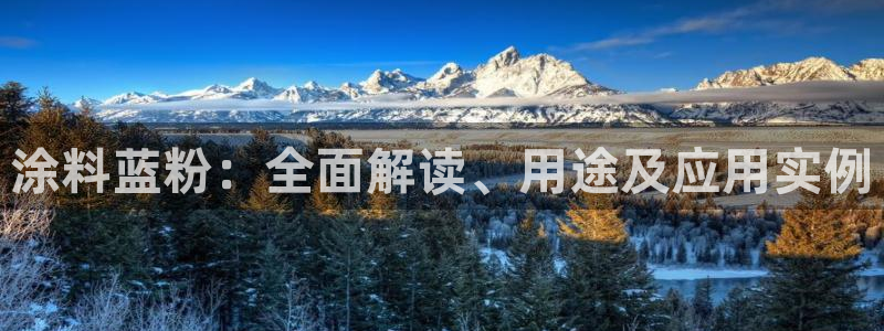 爱游戏全站app官网入口