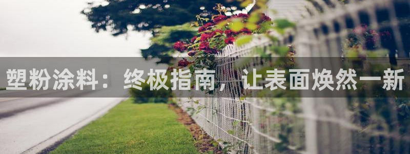 爱游戏app官网入口