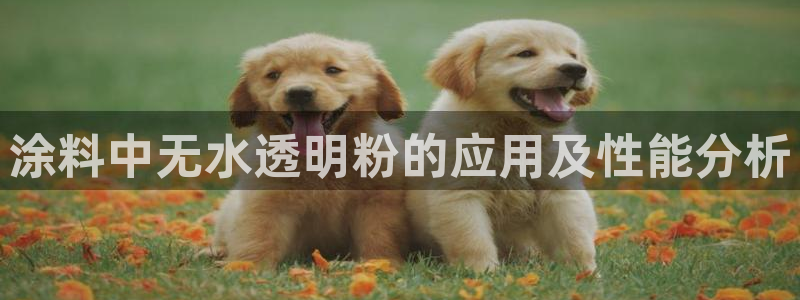 爱游戏开放平台网页