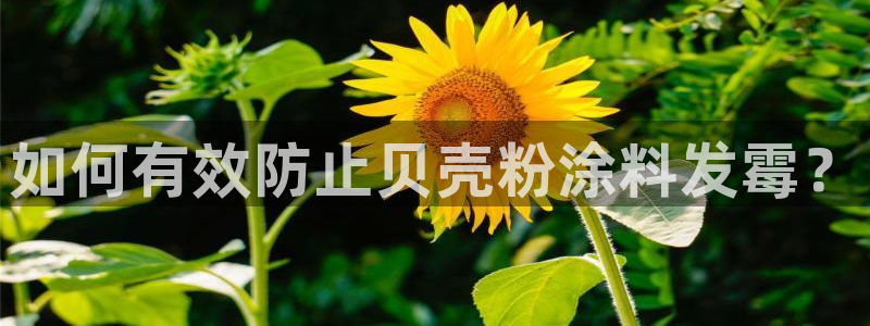 爱游戏官网打开