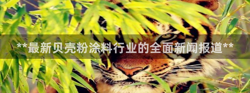 爱游戏全站app在线平台官网