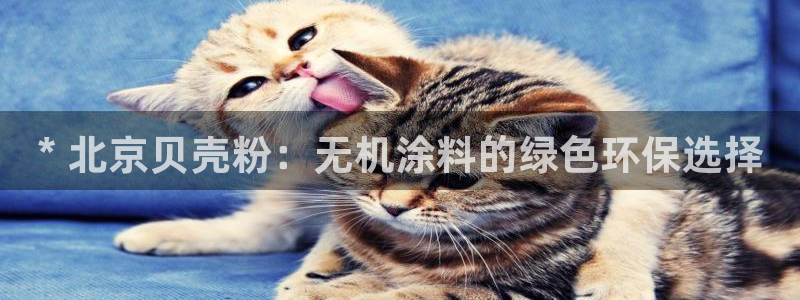 爱游戏中国官网