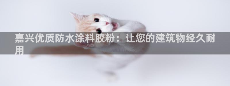 爱游戏电子竞技平台官网