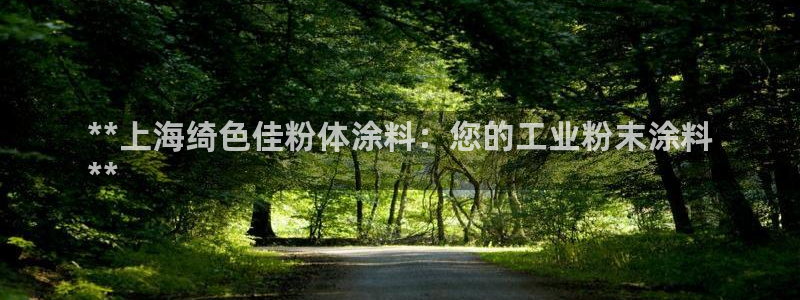 爱游戏app官网有实力04