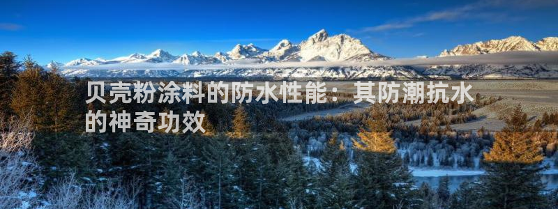 爱游戏平台有哪些游戏