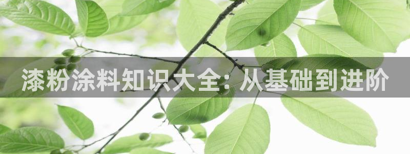 爱游戏官网手机网页版
