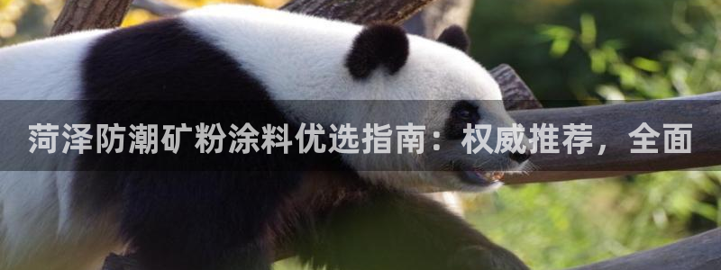 爱游戏官网客户端手机版