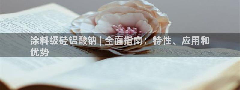 爱游戏平台的