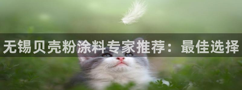 爱游戏客户端官网入口