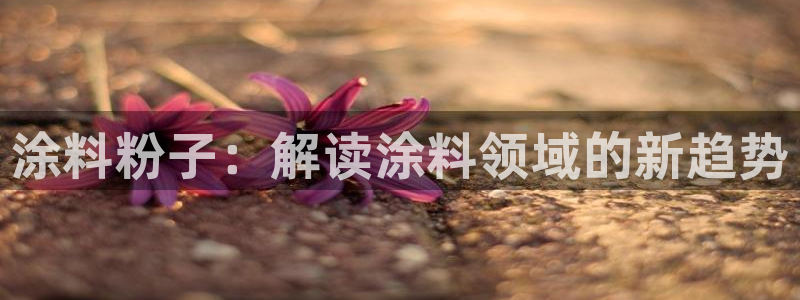 91爱游戏官网