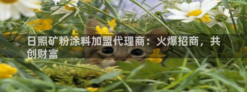 爱游戏全站官网