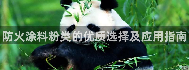 爱游戏电竞平台官网