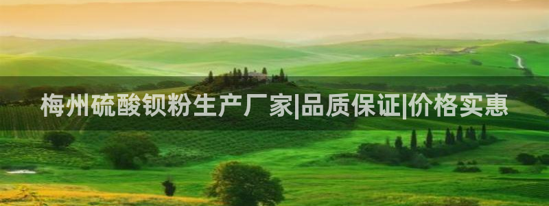 爱游戏乐鱼