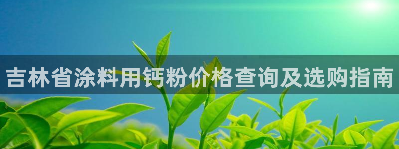 爱游戏app官网有实力04