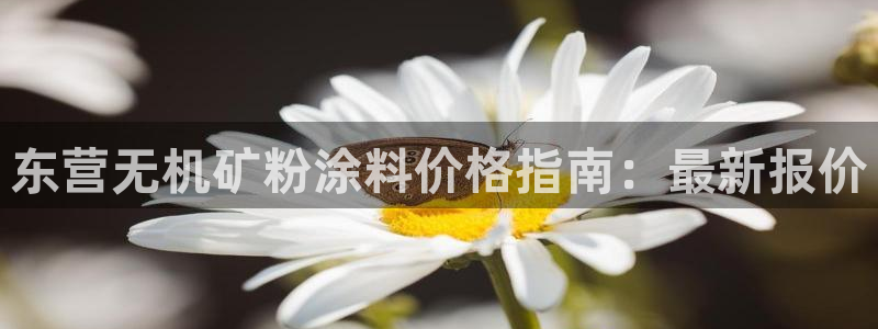爱游戏官网平台入口