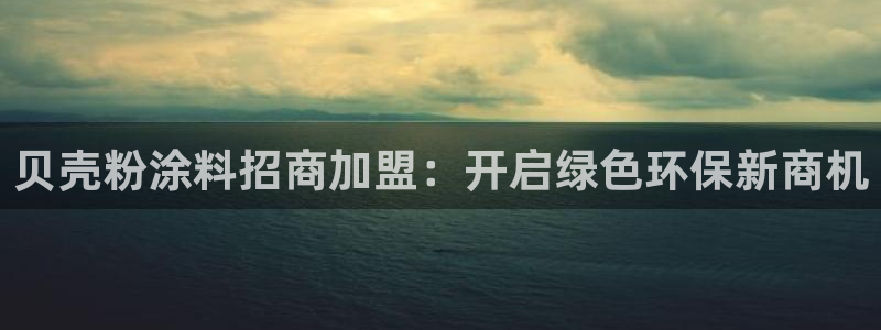 5爱游戏平台