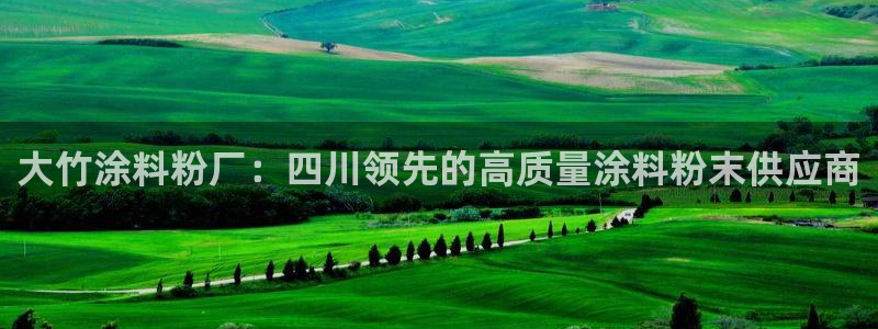 爱游戏ayx官网