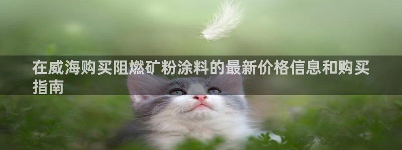 爱游戏平台怎么样