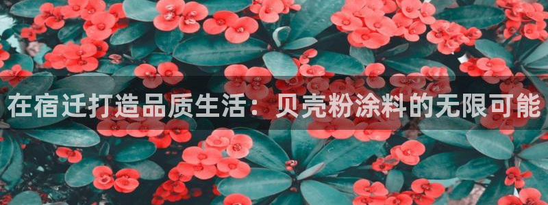 爱游戏平台的