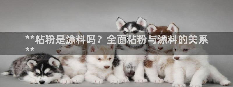 爱游戏百家平台app